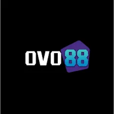 OVO88 - Solusi Dropship Terpercaya untuk Belanja Praktis